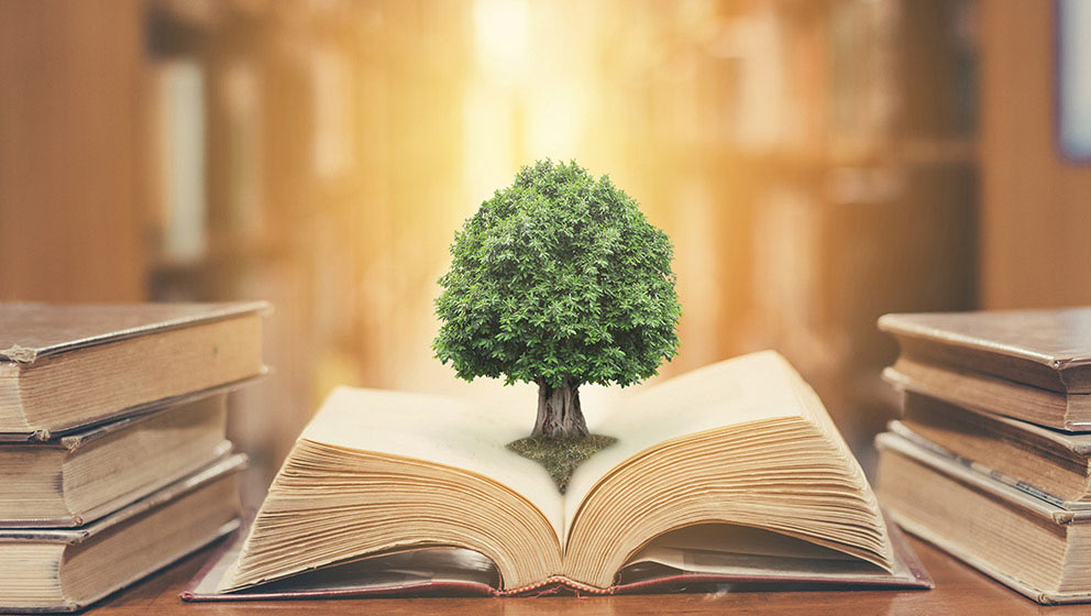 Gestione e comunicazione della sostenibilità. Formazione, green jobs, circular economy